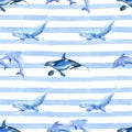 Dolphin killer whale orca whale on a striped background watercolor hand painted seamless pattern.
