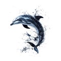 Dolphin Leap Ocean Splash on transparent background Royalty Free Stock Photo