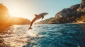 Dolphin leaping sunset ocean Mediterranean travel poster Royalty Free Stock Photo
