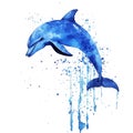 Dolphin leaps gracefully from water with splashes of blue paint effect in artistic representation Royalty Free Stock Photo