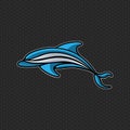 Dolphin logo icon vector design template