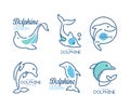 Dolphin Logo Template with Nautical Design Elements in Blue Color Vector Set Royalty Free Stock Photo