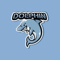 Dolphin mascot logo design illustration