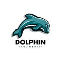 Dolphin mascot logo