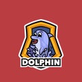 Dolphin mascot logo for sport