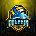 dolphin mascot volleyball team logo design vector with modern illustration concept style for badge, emblem and tshirt printing. Royalty Free Stock Photo