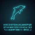 Dolphin neon light icon. Undersea world. High intelligent water creature. Underwater mammal. Entertainment dolphin show