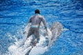 Dolphin performing with trainer at Sea World in San Diego