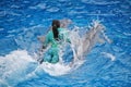 Dolphin performing with trainer at Sea World in San Diego