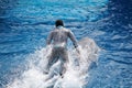 Dolphin performing with trainer at Sea World in San Diego