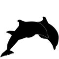 Dolphin porpoise vector eps illustration by crafteroks