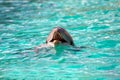 Dolphin portrait looking at you Royalty Free Stock Photo