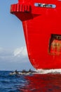 Dolphin and red cargo ship Royalty Free Stock Photo