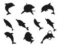 Dolphin Scissor Skills isolated vector Silhouette Royalty Free Stock Photo