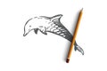 Dolphin, sea, mammal, wildlife, nature concept. Hand drawn isolated vector.