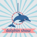 Dolphin show, dolphinarium, sea lion, seal, aqua circus, ocian animal