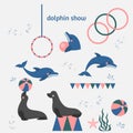 Dolphin show, dolphinarium, sea lion, seal, aqua circus, ocian animal