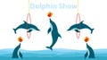 Dolphin show, dolphins jump over the ring and throw the ball.