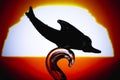 Dolphin Silhouette - Silhouette Dolphin fish isolated on sunrise background