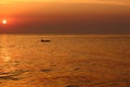 Dolphin silhouette in sea waves early in the morning against sunrise and beautiful purple sky. Summer vacation on seaside backgrou