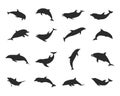 Dolphin silhouettes, Jumping dolphins silhouette