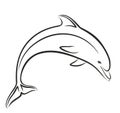 Dolphin Sketch in jump. Royalty Free Stock Photo