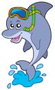 Dolphin snorkel diver Royalty Free Stock Photo