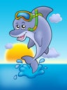 Dolphin snorkel diver with sunset Royalty Free Stock Photo