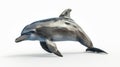 Dolphin standing on white surface Royalty Free Stock Photo