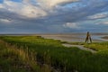 Dolphin structure next to the salt marshes in Fedderwardersiel at the German North Sea coast