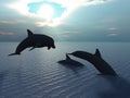 Dolphin and sun ray