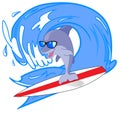 Dolphin surfer