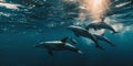 dolphin swiming under the sea.Generative AI Royalty Free Stock Photo