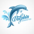 Dolphin. Swimming pool sign template. Vector Royalty Free Stock Photo