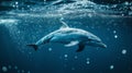 A dolphin swims freely in the ocean, surrounded by bubbles and sunlight filtering through the water Royalty Free Stock Photo