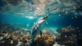 Dolphin swims in the sea polluted by bottles and garbage