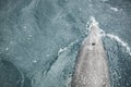 Dolphin in top view with blowhole above the water. Royalty Free Stock Photo