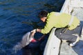 A dolphin trainer is talking to the dolphin in Japan Kagoshima