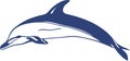 Dolphin vector