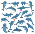 Dolphin vector cartoon set icon. Vector illustration blue fish on white background. Isolated cartoon set icon dolphin. Royalty Free Stock Photo