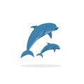 Dolphin vector illustration, flat style two jumping happy dolphins Royalty Free Stock Photo
