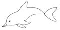 Dolphin. Vector illustration. Outline on a white isolated background. Marine mammal. Inhabitant of the ocean. Hand drawing style.