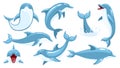 Dolphin vector set