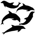 Dolphin Vectors Illustration Royalty Free Stock Photo