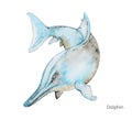 Dolphin water color painting