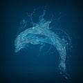 Dolphin water Royalty Free Stock Photo