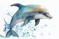 Dolphin watercolour