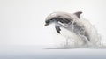 A dolphin on white background, is an aquatic mammal within the infraorder Cetacea