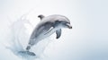 A dolphin on white background, is an aquatic mammal within the infraorder Cetacea