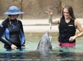 A Dolphinaris Visitor Feeds a Dolphin a Fish